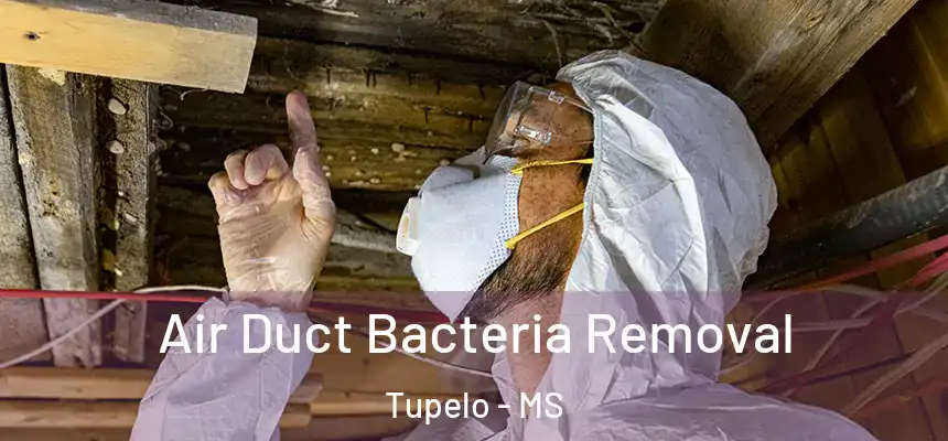  Air Duct Bacteria Removal Tupelo - MS
