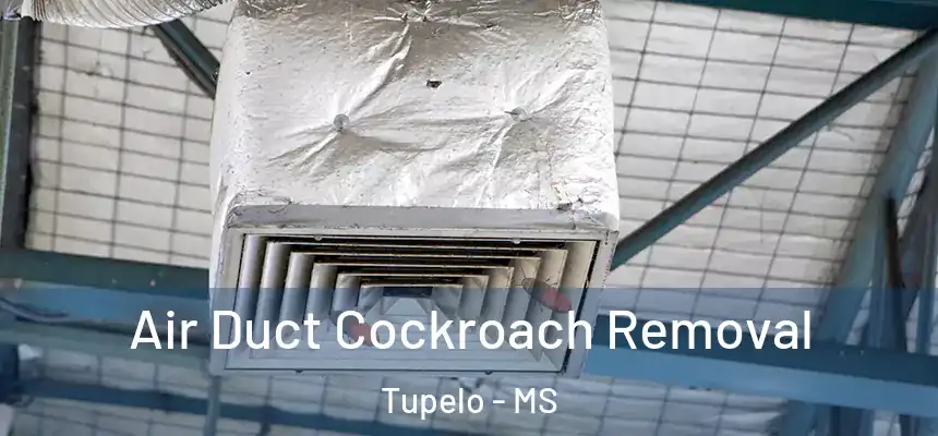  Air Duct Cockroach Removal Tupelo - MS