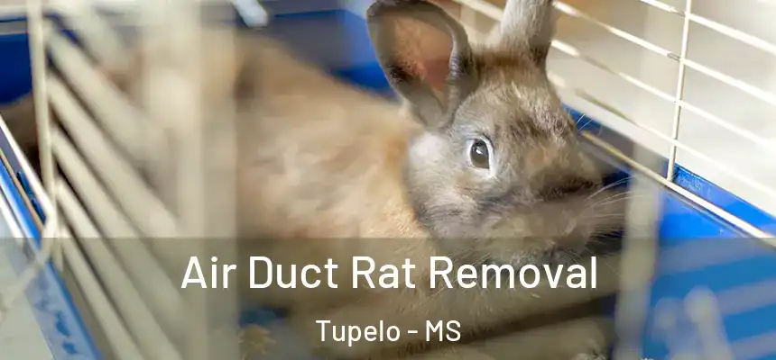  Air Duct Rat Removal Tupelo - MS