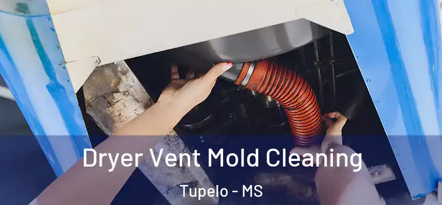 Dryer Vent Mold Cleaning Tupelo - MS