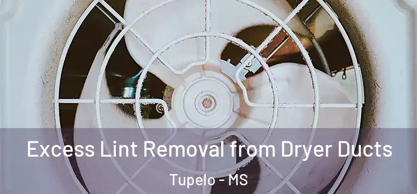 Excess Lint Removal from Dryer Ducts Tupelo - MS