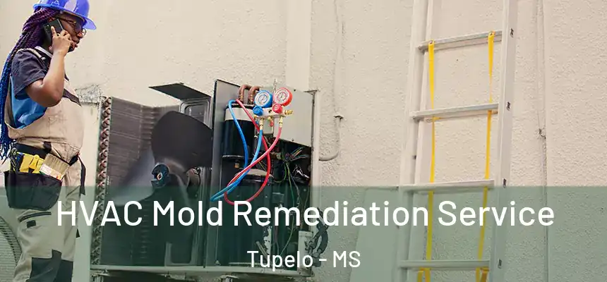  HVAC Mold Remediation Service Tupelo - MS