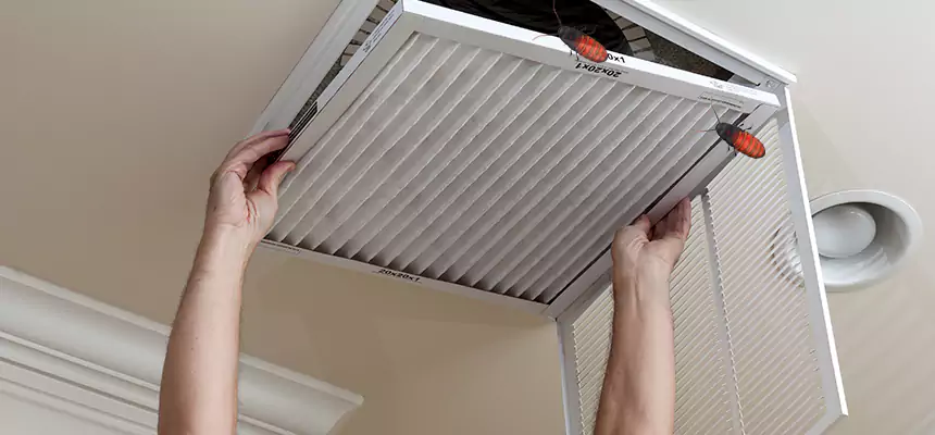 Preventive Cockroach-Proofing for Ducts in Tupelo