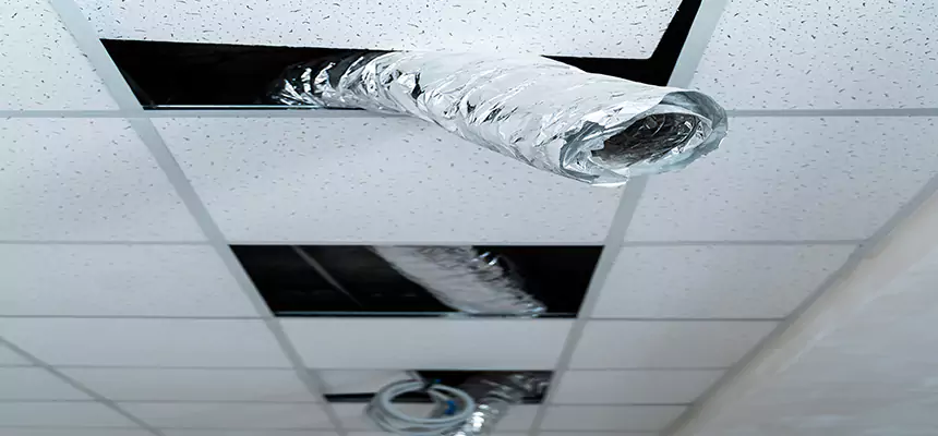 Affordable HVAC Sanitizing After Pest Removal in Tupelo