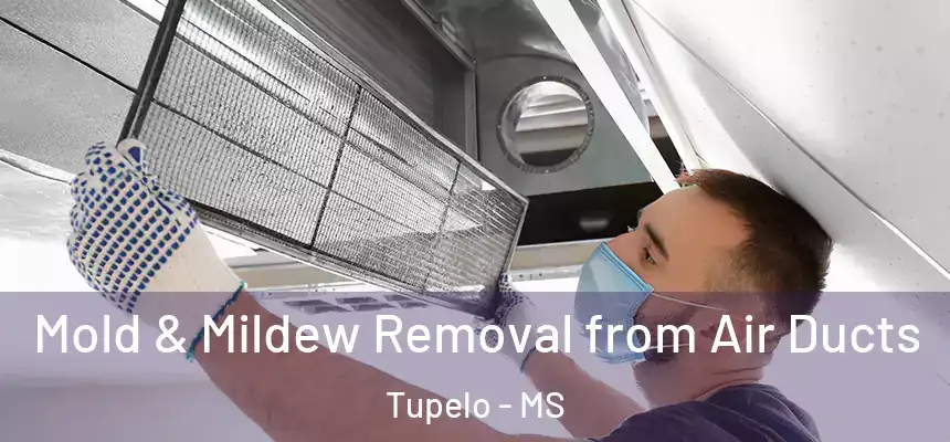 Mold & Mildew Removal from Air Ducts Tupelo - MS