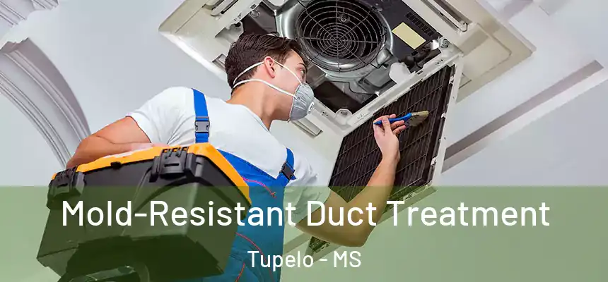 Mold-Resistant Duct Treatment Tupelo - MS