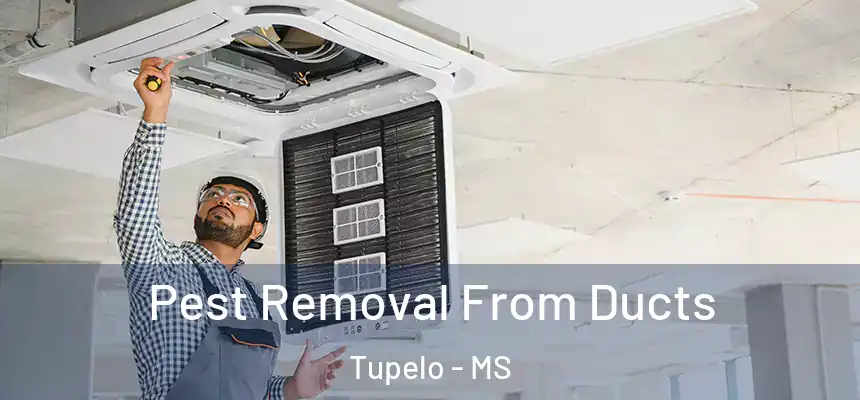  Pest Removal From Ducts Tupelo - MS