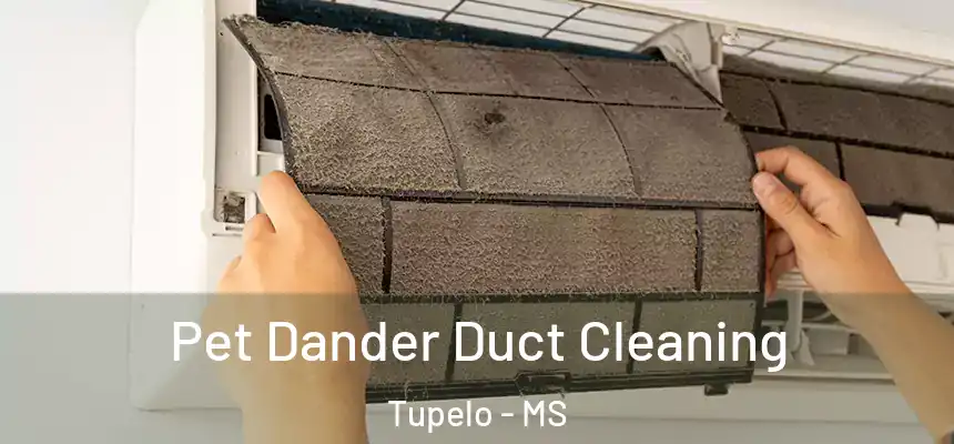Pet Dander Duct Cleaning Tupelo - MS