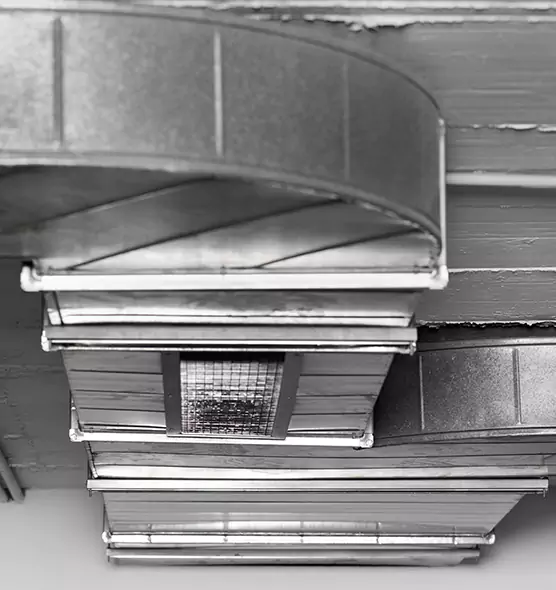 Professional Air Duct Pest Removal in Tupelo, MS