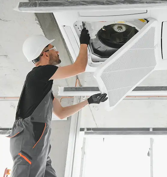 About Air Duct Rodent Removal in Tupelo, MS