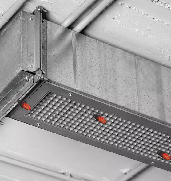 Affordable Insect Removal from Air Ducts in Tupelo, MS