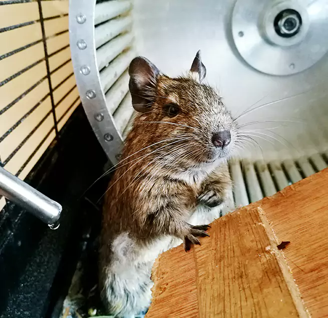 Why Homeowners & Businesses Trust Us Tupelo, MS?