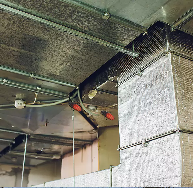 Why Homeowners & Businesses Trust Us Tupelo, MS?